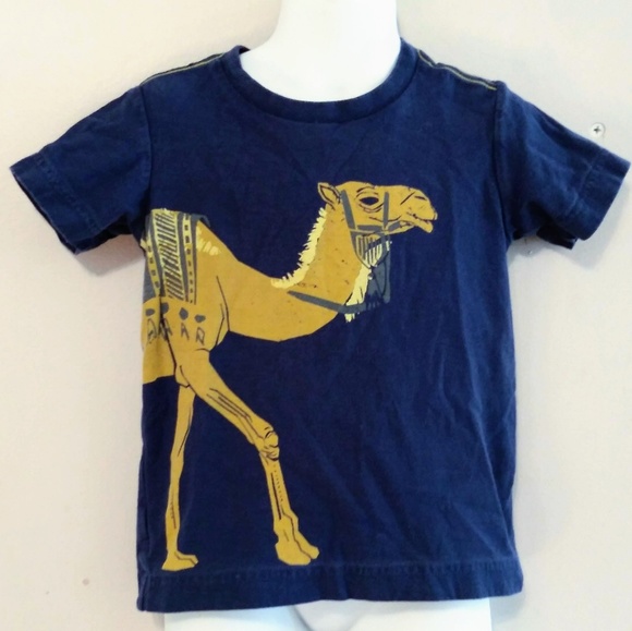 Tea Collection Destination: Morocco Camel Tee - Picture 1 of 2
